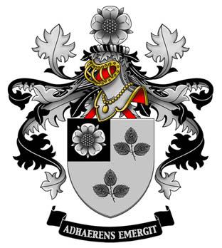 021Ronse%20-%20De%20Craene.jpg