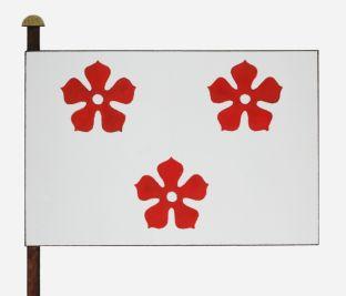 Ardooie%20vlag.jpg