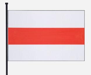 Berlare%20vlag.jpg
