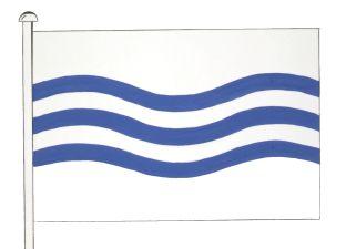 Denderleeuw%20vlag.jpg