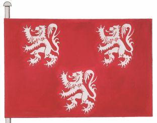 Gavere%20vlag.jpg