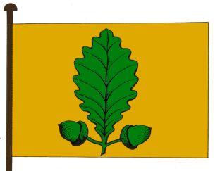 Heusden-Zolder%20vlag.jpg