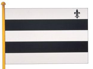 Meerhout%20vlag_0.jpg