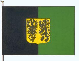 Ninove%20vlag.jpg
