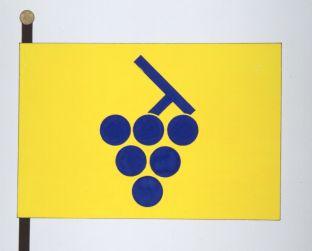 Overijse%20vlag.jpg