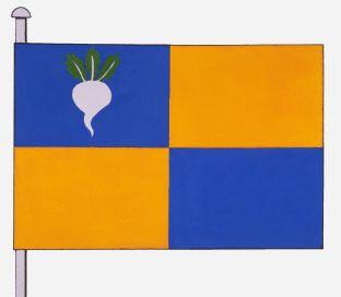Sint-Gillis-Waas%20vlag.jpg
