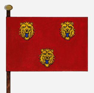 Staden%20vlag.jpg