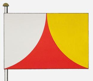 Steenokkerzeel%20vlag.jpg