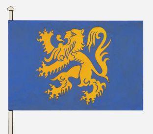 Zottegem%20vlag.jpg