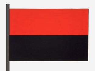 Zoutleeuw%20vlag.jpg
